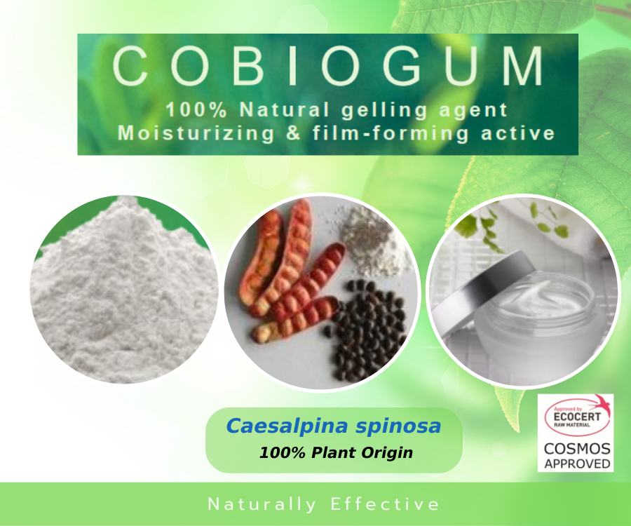 Cobiogum สารขึ้นเนื้อเจล สกัดจากเมล็ดฝักต้นทาร่า ทำสูตรง่าย ผิวนุ่มชุ่มชื้น ไม่เหนียวเหนอะหนะ